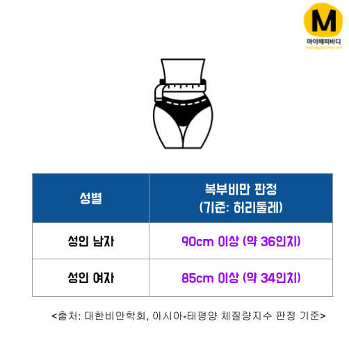 허리둘레 복부비만 판정 기준