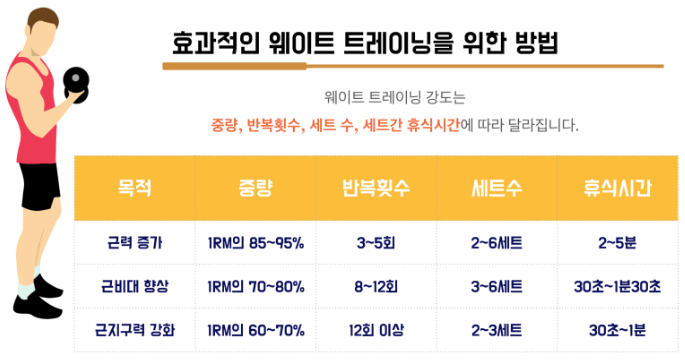 효과적인웨이트트레이닝을위한방법