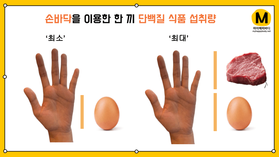 손바닥을 이용한 한 끼 단백질 식품 섭취량