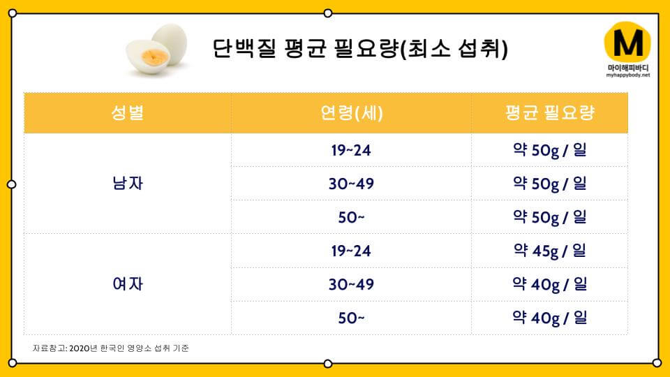 현실적인 다이어트 식단 단백질 필요량