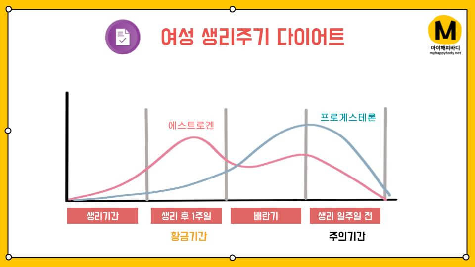 여자 다이어트 식단 생리주기