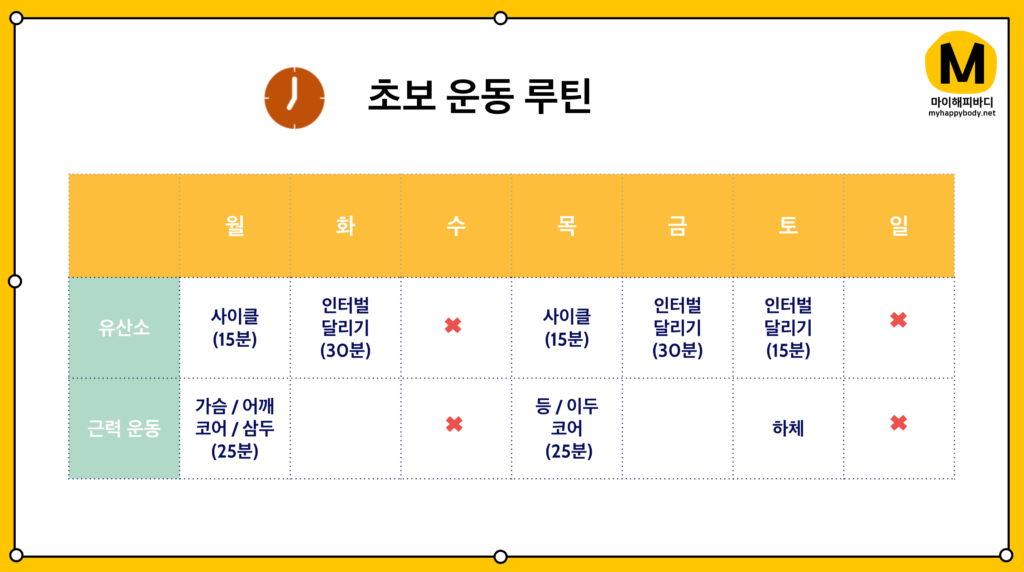 초보 운동 루틴 요일별 프로그램