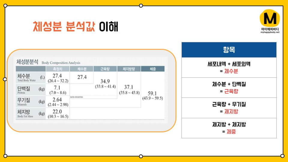 인바디 측정 결과지